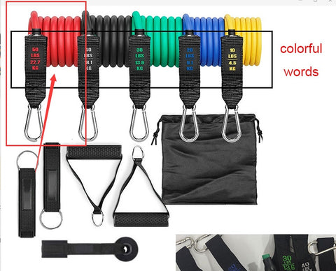 Fitness Rally Elastic Resistance Band – Strength Training and Stretching Tool